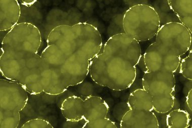 sevimli tasarım sarı biyo-ilkel organizmalar bilgisayar sanat dokusu veya arkaplan çizimi