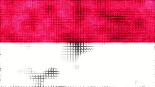 Flaga Cyfrowa Monako Animacja Pętlowa — Wideo stockowe