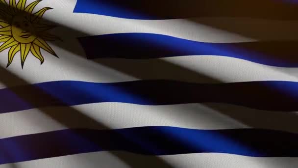 Uruguayská Vlajka Animace Smyčky — Stock video