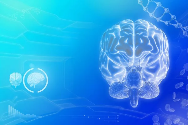 Medyczna Ilustracja Ludzki Mózg Koncepcja Badań Umysłowych Bardzo Szczegółowe Elektroniczne — Zdjęcie stockowe
