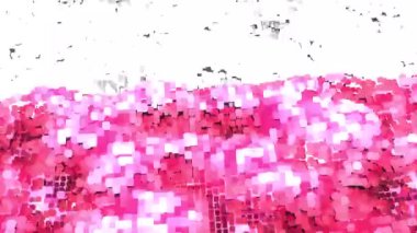 Polonya parlak bayrağı - döngü