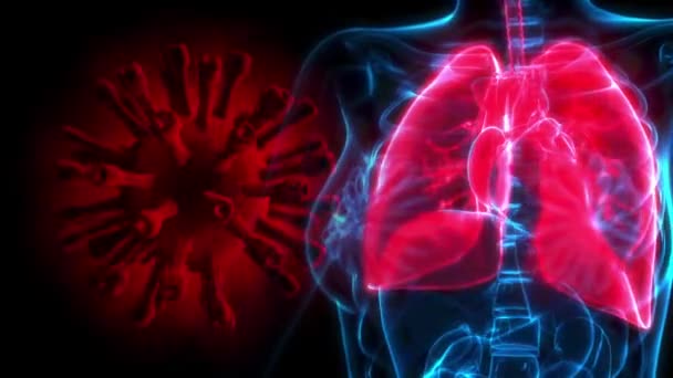 Medicina Animación Problemas Pulmones Humanos Ncov — Vídeo de stock