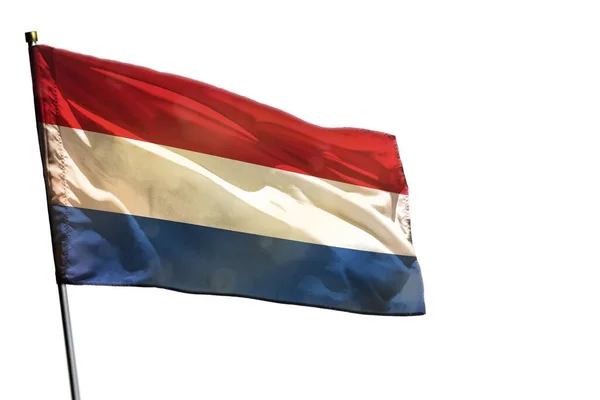 Sventolando Bandiera Olandese Isolata Sfondo Bianco — Foto Stock