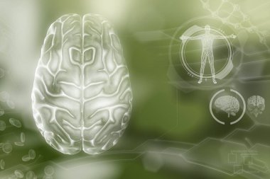 İnsan beyni, nöroloji çalışma konsepti - son derece detaylı elektronik doku, tıbbi 3 boyutlu illüstrasyon