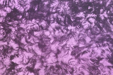 fantastik pembe tasarım dairesel cilalı tahta dokusu - soyut fotoğraf arkaplanı