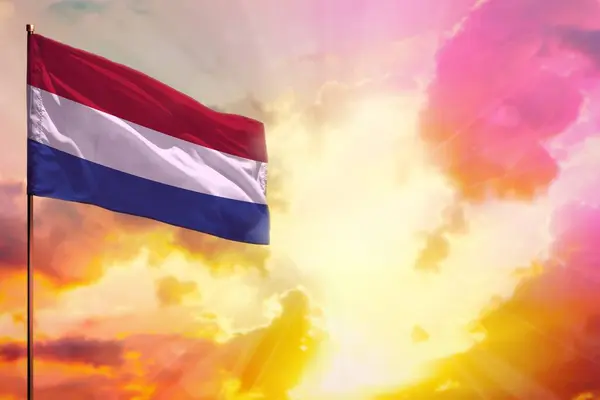 Aleteo Bandera Los Países Bajos Esquina Superior Izquierda Maqueta Con —  Fotos de Stock