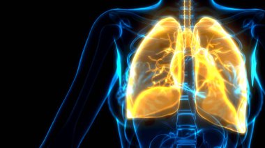Röntgen görüntüsünde sarı insan akciğerleri, CG İlaç 3D illüstrasyon