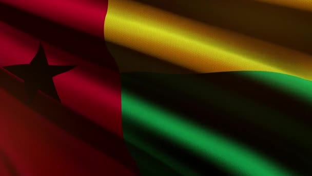 Guinea Flag Animace Smyčky — Stock video