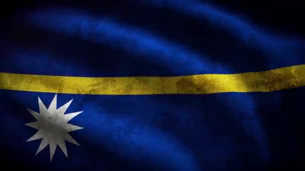 Nauru Grunge Flag Animasi Loop — Stok Video