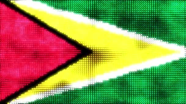 Guyana Dijital Bayrağı Döngü Animasyonu — Stok video