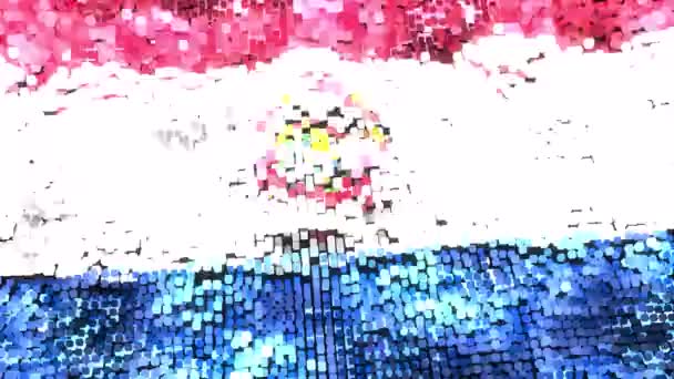 Paraguay Bright Flag Loop — Vídeo de Stock