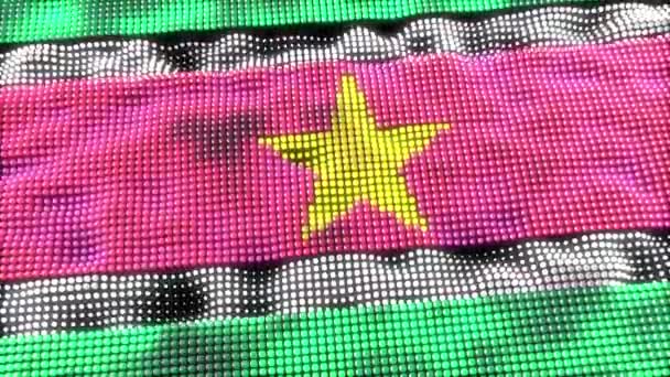 Suriname Web Concept Flag Loop — Stok video