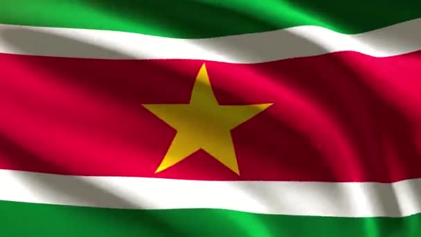 Bandera Festiva Surinam Animación Bucle — Vídeos de Stock