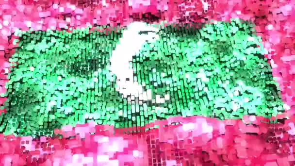 Bendera Cerah Maladewa Loop — Stok Video