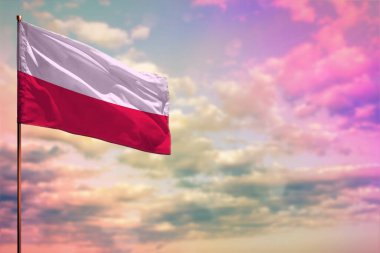 Dalgalanan Polonya bayrağı renkli bulutlu gökyüzü arkaplanı üzerine yazdığınız metin için yer.