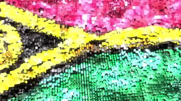Яркий Флаг Вануату Цикл — стоковое видео