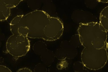 sevimli sarı derin biyolojik grunge bilgisayar grafikleri arkaplan veya doku çizimi