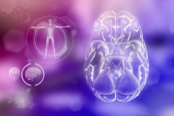 Ιατρική Τρισδιάστατη Απεικόνιση Ανθρώπινο Εγκέφαλο Νευροχειρουργική Έννοια Ανάπτυξης Εξαιρετικά Λεπτομερή — Φωτογραφία Αρχείου
