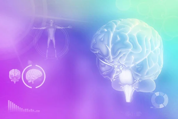 Cerebro Humano Concepto Desarrollo Cerebral Antecedentes Electrónicos Muy Detallados Ilustración — Foto de Stock