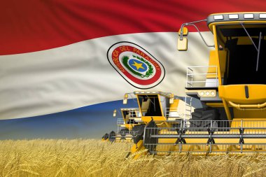 3 sarı modern hasatçı Paraguay bayrağı ile kırsal alanda birleştirmek - yakın görüş, tarım kavramı - endüstriyel 3D illüstrasyon