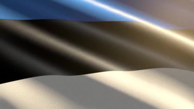 Estonya parlak bayrağı - döngü canlandırması