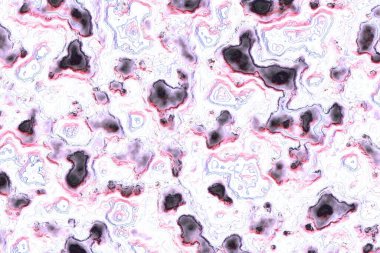 sanatsal dekoratif yabani taş bilgisayar grafikleri doku resimleme