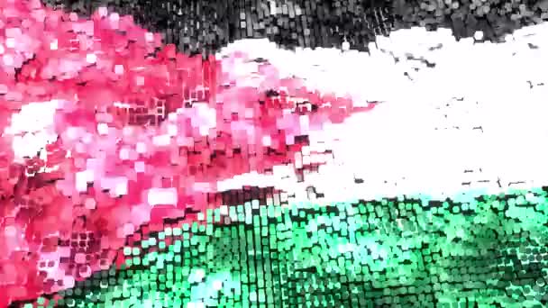 Jordan Parlak Bayrak Döngü — Stok video