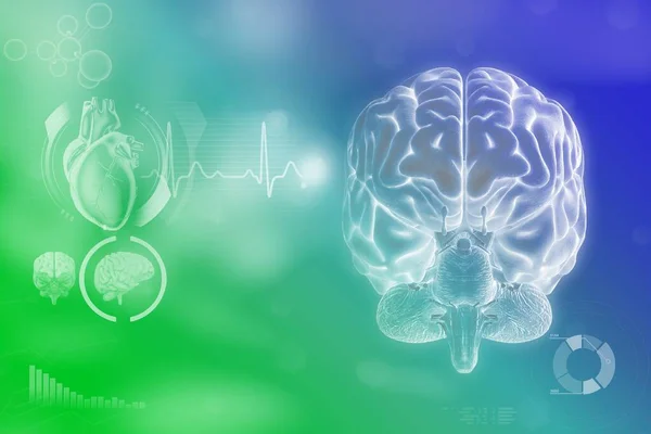 Ludzki Mózg Koncepcja Analizy Umysłowej Bardzo Szczegółowe Współczesne Tło Lub — Zdjęcie stockowe