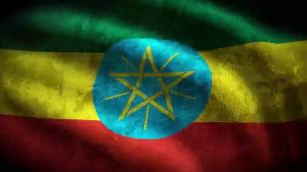 Äthiopien Grunge Flagge Loop Animation — Stockvideo