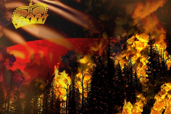 Концепция Стихийного Бедствия Лесного Пожара Пожар Деревьях Фоне Флага Лихтенштейна — стоковое фото