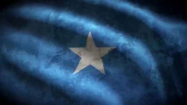 Somali Grunge Bayrağı Döngü Animasyonu — Stok video