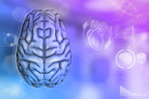 Ilustração Médica Cérebro Humano Conceito Análise Nervosa Textura Eletrônica Altamente — Fotografia de Stock