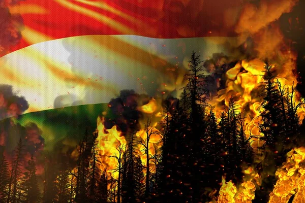 Gran Concepto Lucha Contra Incendios Forestales Desastre Natural Fuego Infernal —  Fotos de Stock
