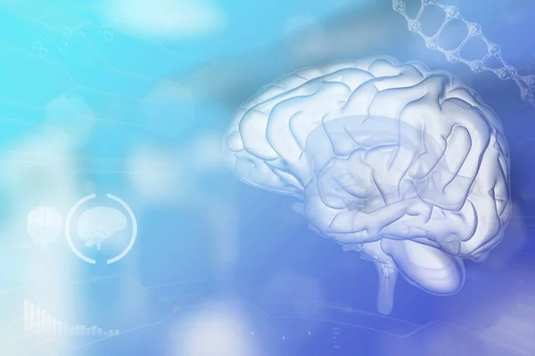 Medyczna Ilustracja Ludzki Mózg Koncepcja Analizy Sieci Neuronowej Szczegółowe Współczesne — Zdjęcie stockowe