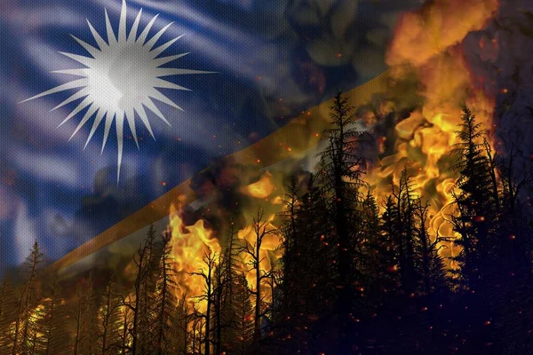 Концепция Борьбы Лесным Пожаром Стихийное Бедствие Пылающий Огонь Лесу Фоне — стоковое фото
