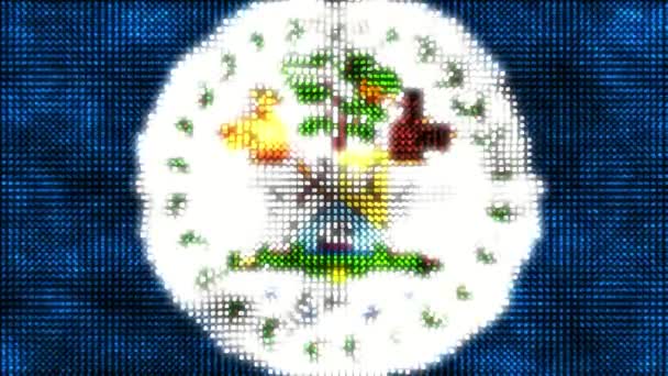 Belize Digital Flag Loop Animation — стоковое видео