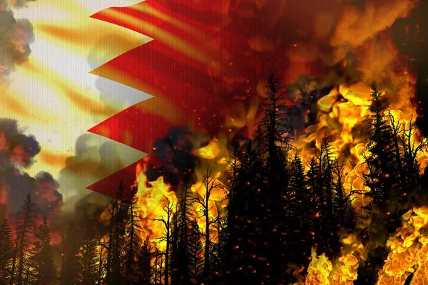 Έννοια Μάχης Μεγάλων Δασικών Πυρκαγιών Φυσική Καταστροφή Φωτιά Στα Δέντρα — Φωτογραφία Αρχείου