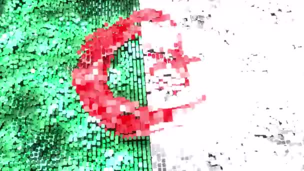 Bendera Cerah Aljazair Loop — Stok Video