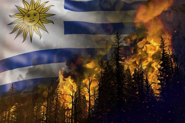 Концепція Боротьби Лісовими Пожежами Пожежа Лісі Тлі Уругваю Ілюстрація Природи — стокове фото