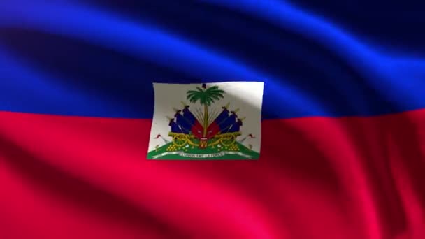 Haïti Feestelijke Vlag Lus Animatie — Stockvideo