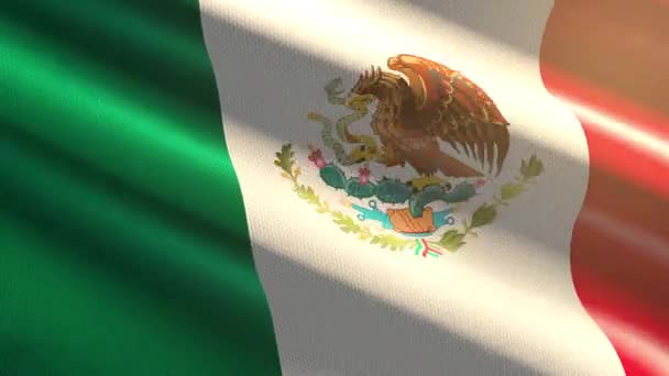 Bandeira Brilhante México Animação Loop — Vídeo de Stock