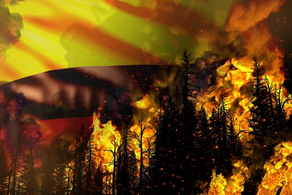 Waldbrand Naturkatastrophen Konzept Schweres Feuer Den Bäumen Auf Kolumbien Flagge — Stockfoto