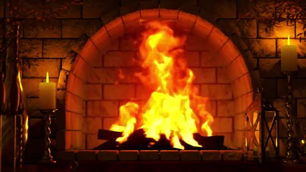 Beautiful Grate Lighting Flames Background — Stock video