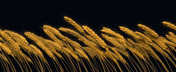 Farm Crop Goldish Wheat Line Close View Isolated Cgi Nature —  Fotos de Stock