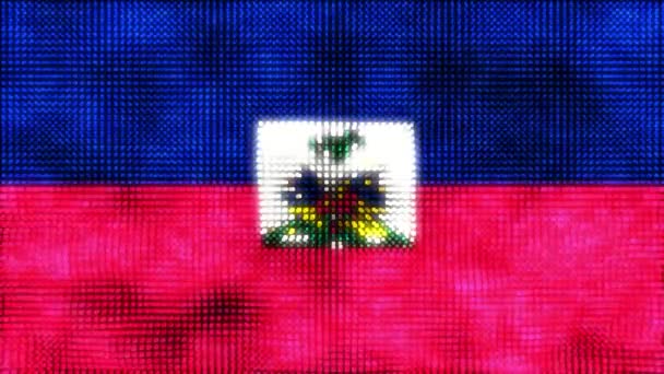 Haïti Digitale Vlag Lus Animatie — Stockvideo