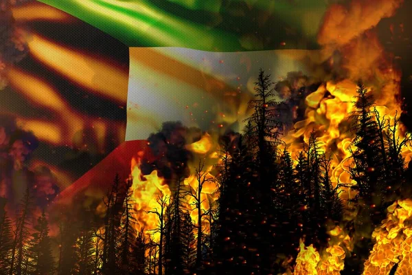 Gran Concepto Lucha Contra Incendios Forestales Desastre Natural Fuego Infernal —  Fotos de Stock