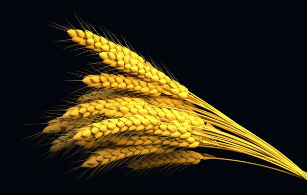 Золотий Жито Або Пшеничний Букет Сільськогосподарський Урожай Ізольовано Природа Ілюстрація — стокове фото
