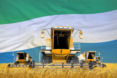 Buğday tarlasında hasatçıları bayrakla birleştiren 4 portakallı 3 boyutlu sanayi illüstrasyonu, Sierra Leone tarım kavramı