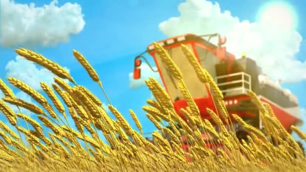 阳光充足的时候 在黑麦田上组合收割机 — 图库视频影像