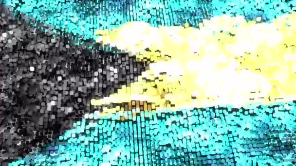 Яркий Флаг Багамов Петля — стоковое видео